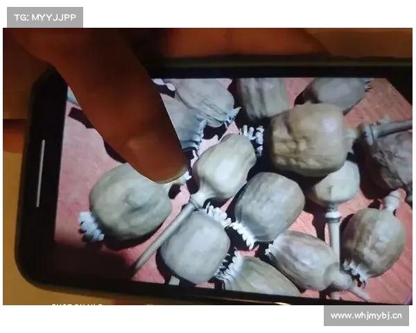 为啥总有饭店放罂粟壳 为啥总有饭店放罂粟壳