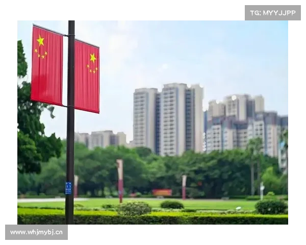 五星红旗挂满武汉街头 五星红旗挂满武汉街头