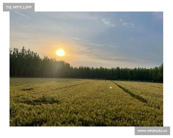 今起迎来大回暖 阳光越来越“热情”